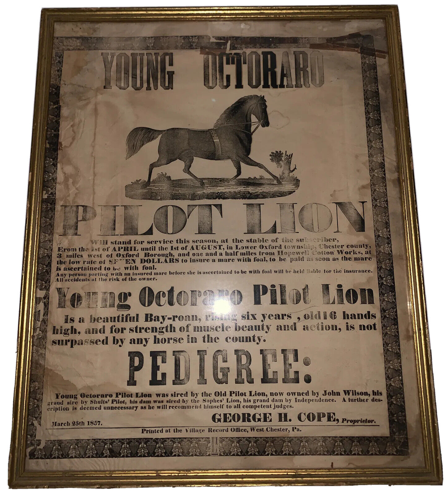 1857, WEST CHESTER, PA, ORIGINAL BROADSIDE, EQUESTRIAN HORSE BREEDING, OXFORD