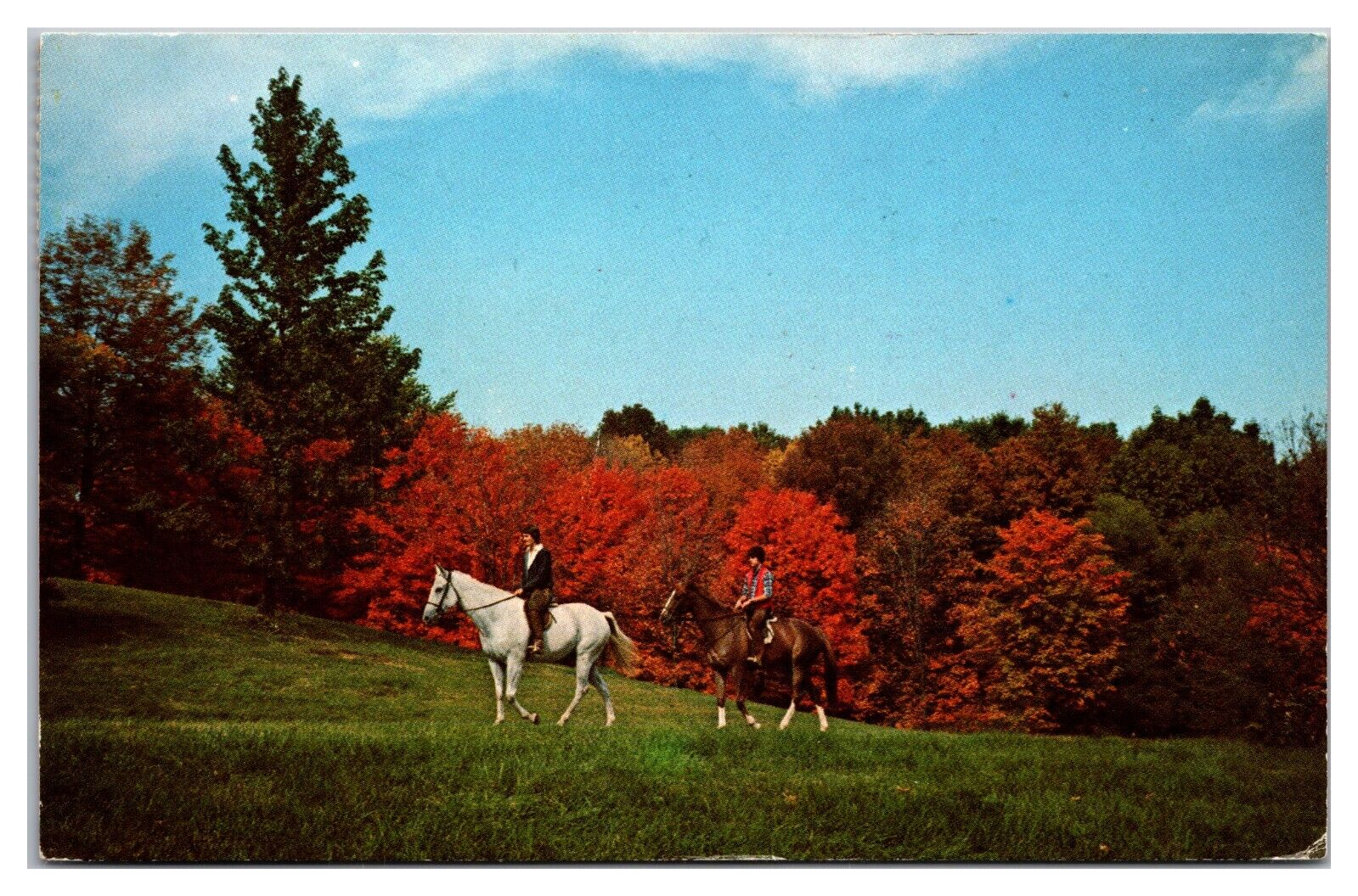 Horseback Riding Oglebay Park Wheeling, West Virginia Postcard