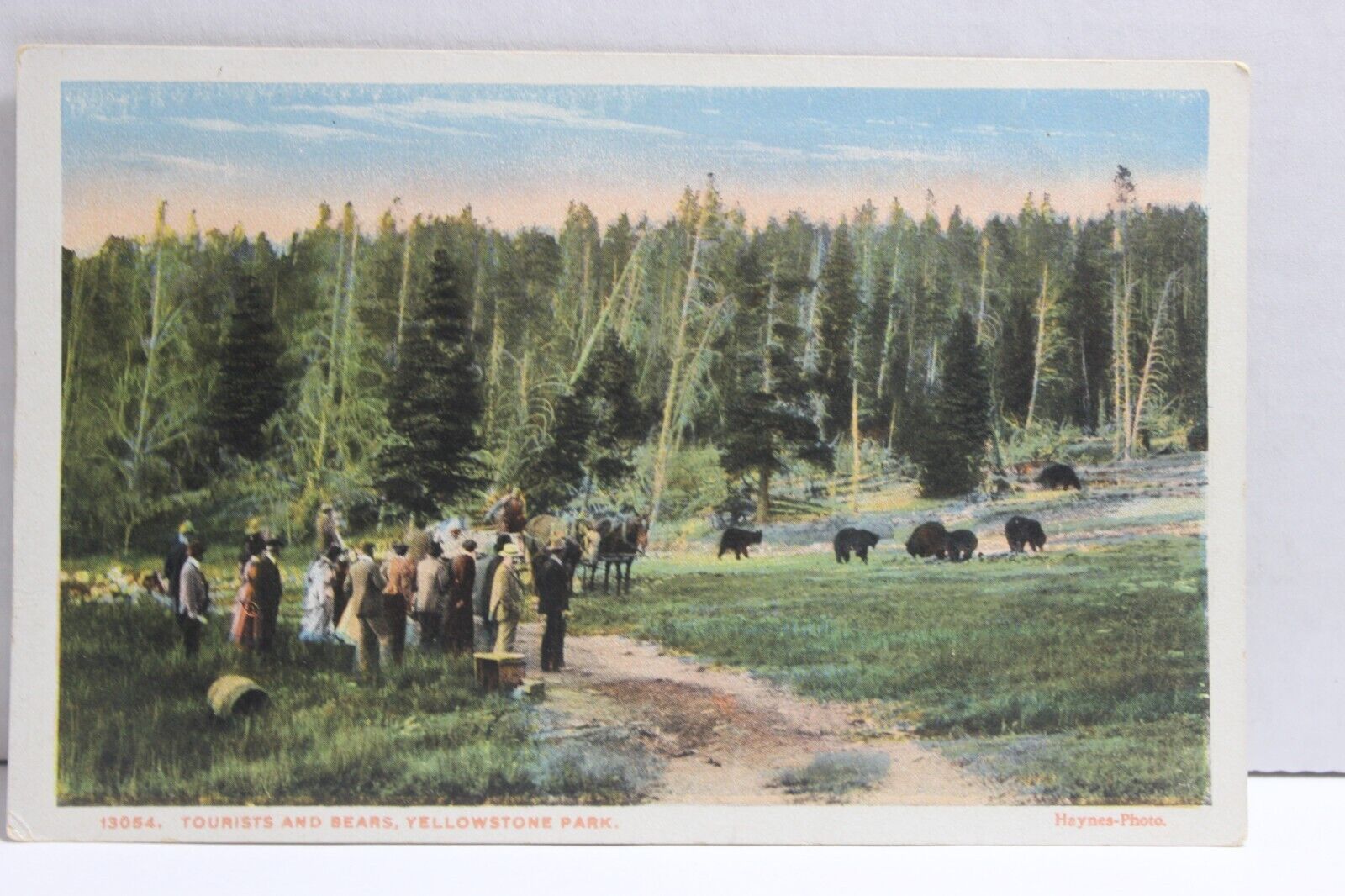 Tourists and Bears, Yellowstone National Park Wyoming