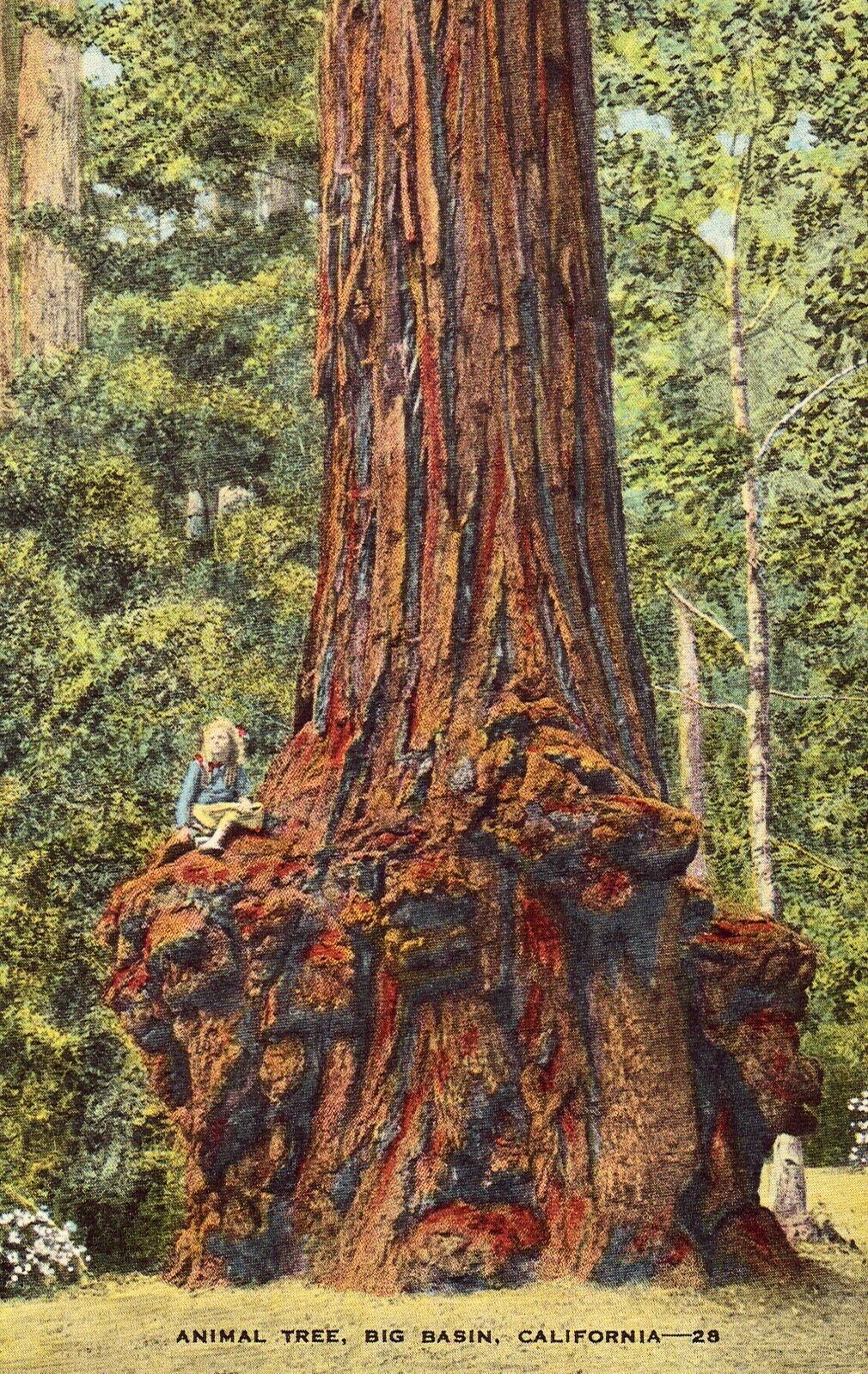 Linen Postcard - Animal Tree - Big Basin - California