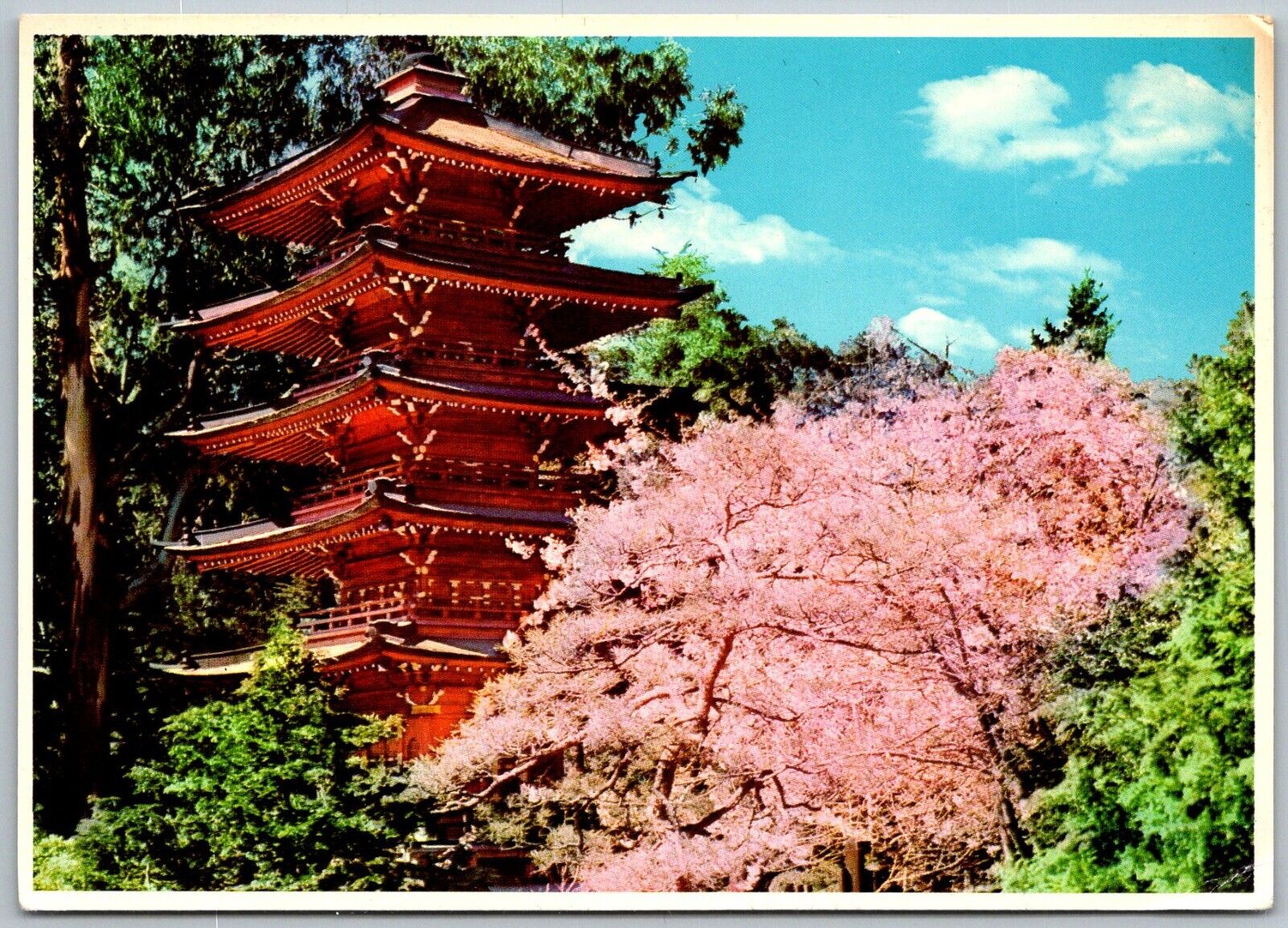 San Francisco California Continental Size   Postcard Japanese Tea Gardens
