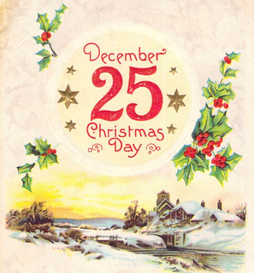 Winsch 1910 December 25 Christmas Day Snowy Village Poinsettia Stars Postcard A3