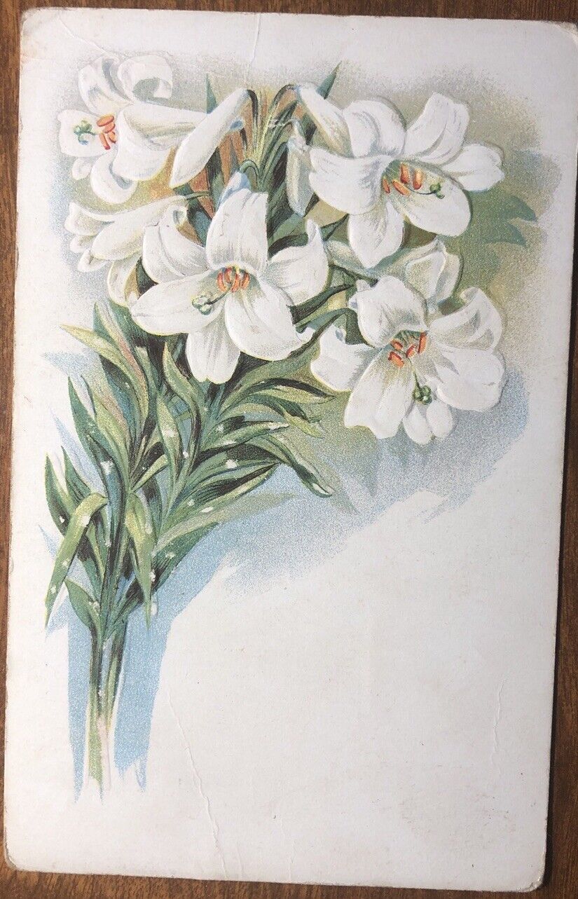 Easter Flowers, Blooms And Greenery, Embossed Postcard Postmarked 1909