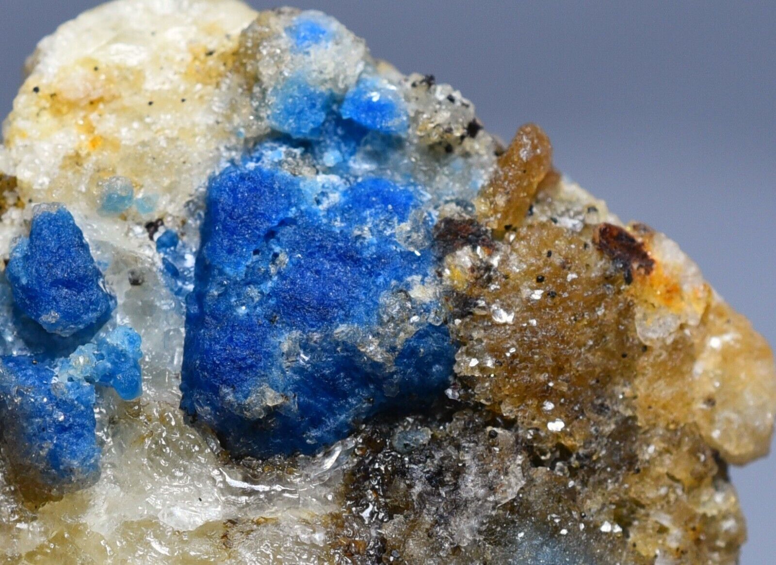127GM Fluorescent Natural Blue Afghanite & Phlogopite Crystal Specimen @Afghan