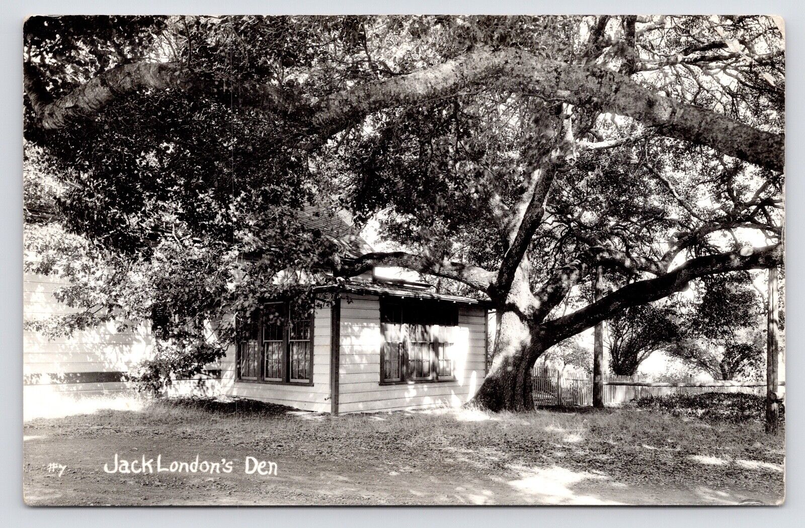 c1930s~Jack London Ranch~House Den~Office~Glen Ellen California CA~RPPC Postcard