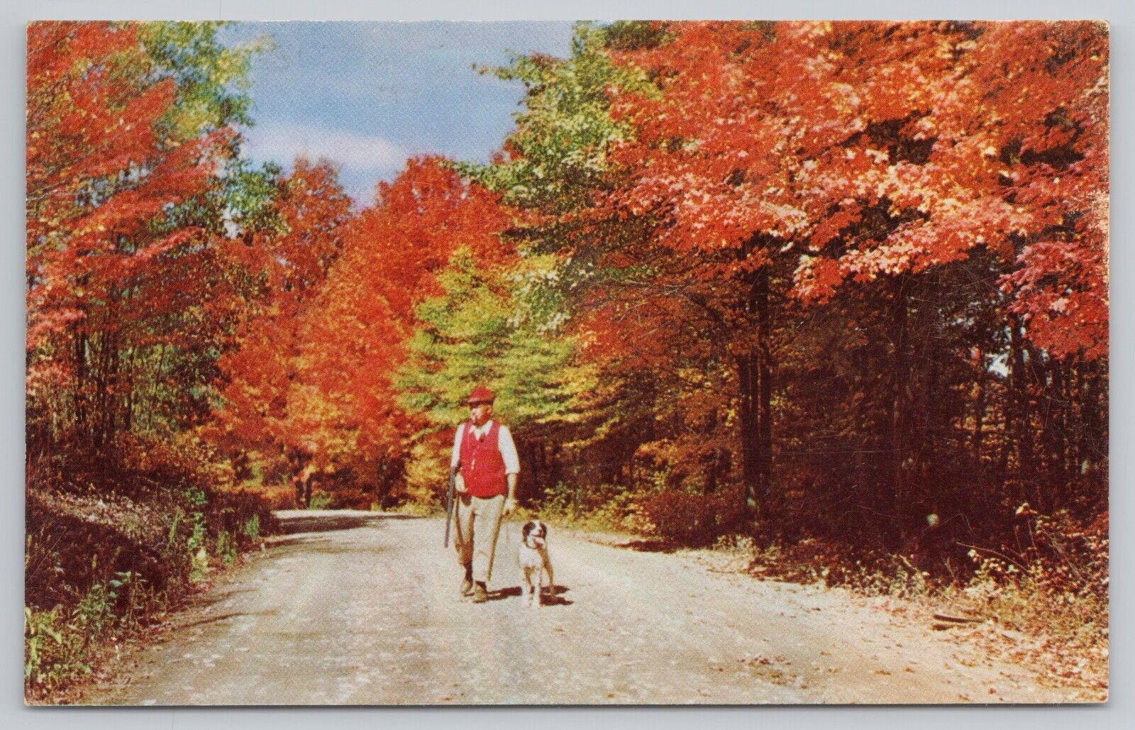 Postcard Hunter with Hunting Dog in Autumn with Fall Colors, Vintage