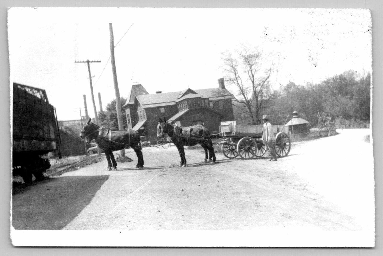 RPPC Real Photo Postcard 4 Mule Team from Cornwall Orchard Cornwall, PA