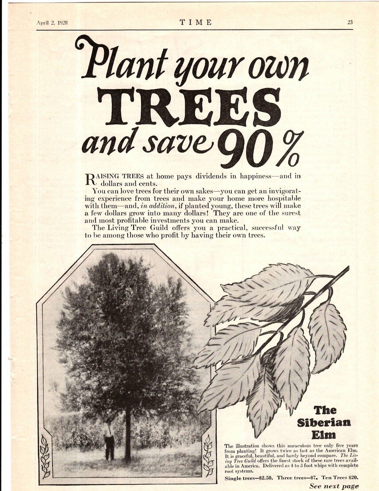1928 Print Ad The Living Tree Guild NY NY Plant Your Own Trees and Save 90%