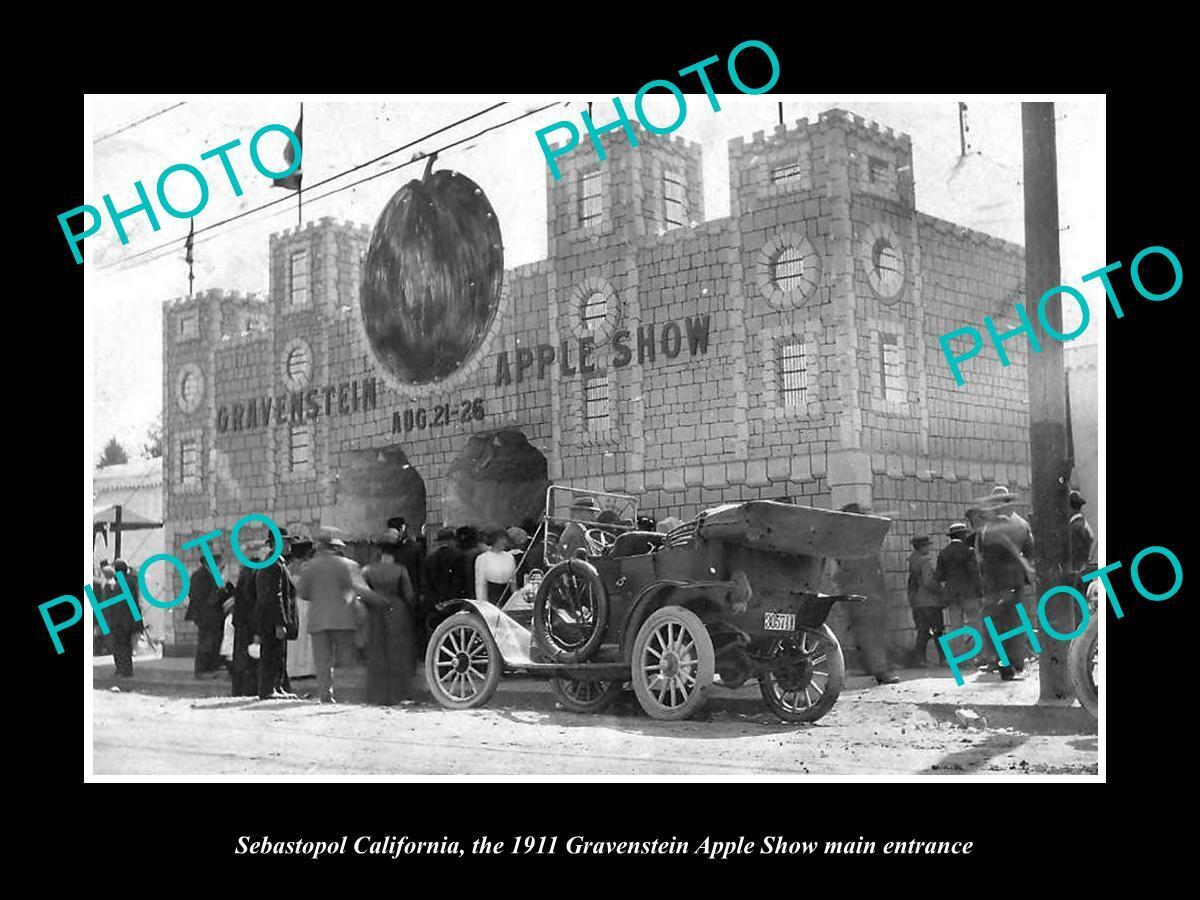 OLD LARGE HISTORIC PHOTO OF SEBASTOPOL CALIFORNIA GRAVENSTEIN APPLE SHOW c1911