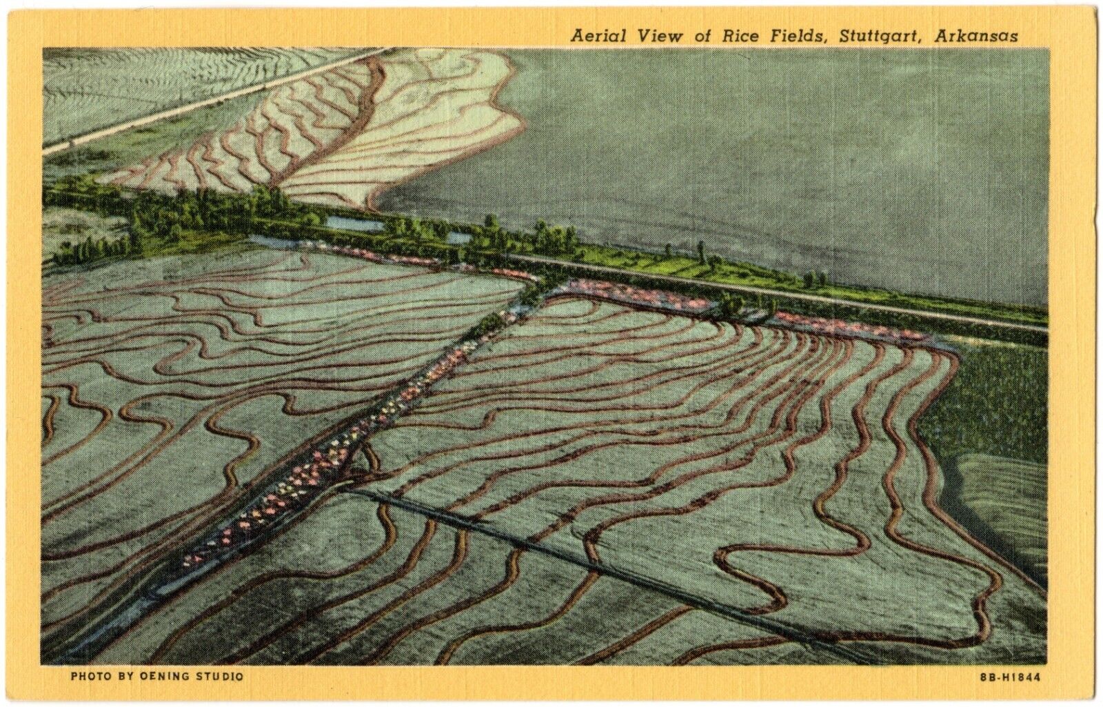 STUTTGART, AR Aerial View of Rice Fields, Oening Studio, Arkansas Postcard 1948