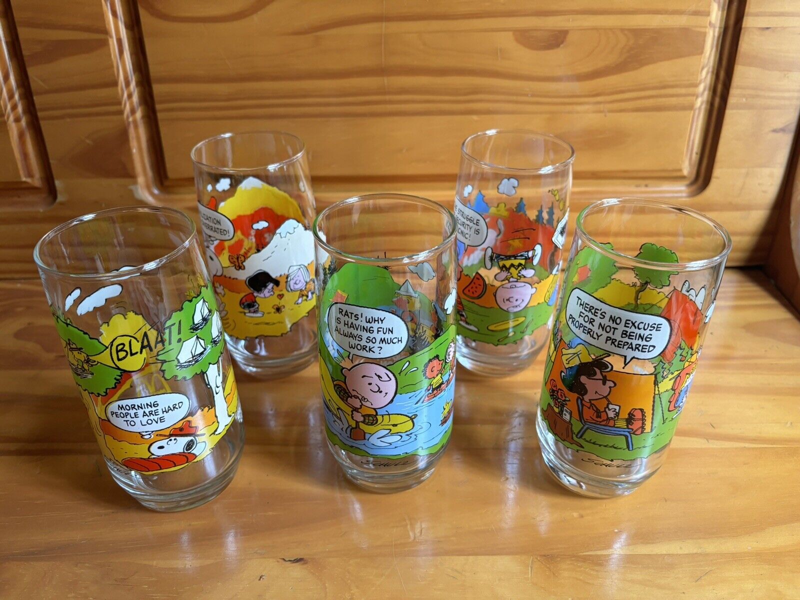 McDonalds Peanuts Camp Snoopy Collection - Complete Set of 5 - Vintage