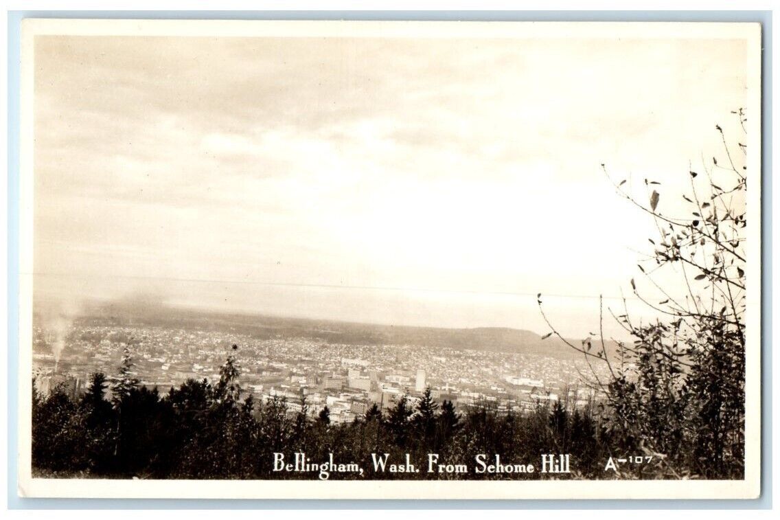 c1950's City View From Sehome Hill Bellingham Washington WA RPPC Photo Postcard