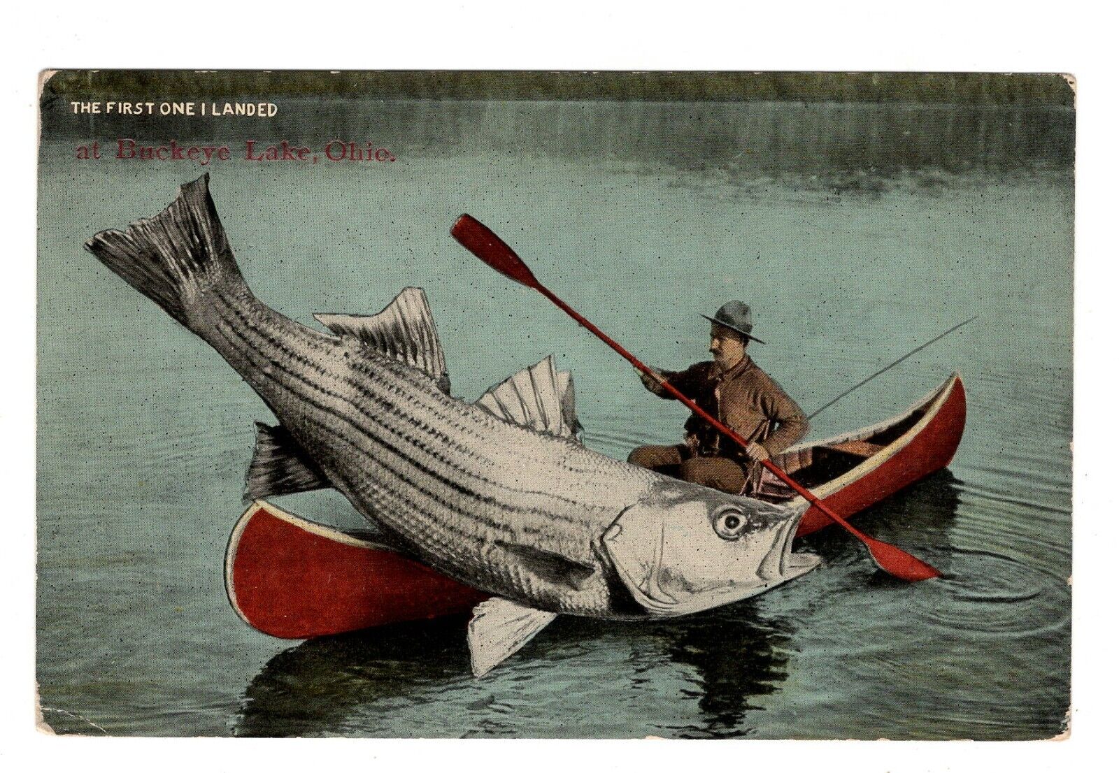 Postcard Exaggeration Fish Buckeye Lake First One I Landed Ohio Canoe