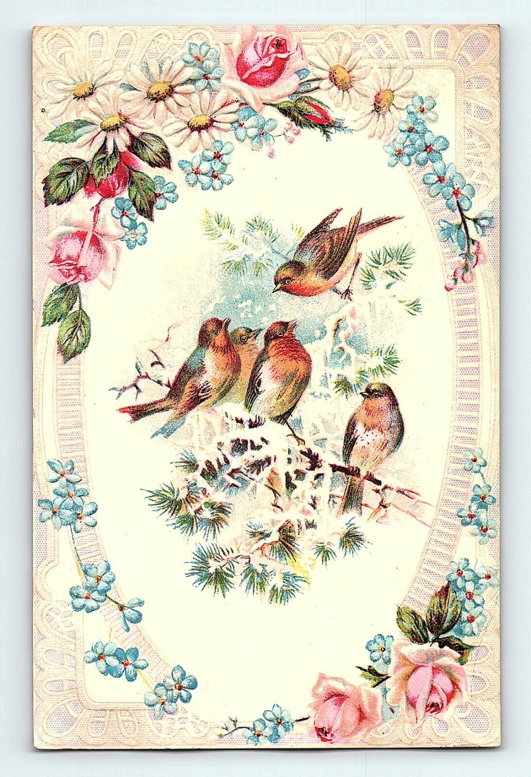 1880\'s-90\'s Embossed Victorian Card Colorful Wild Birds Tree Ice Winter P157