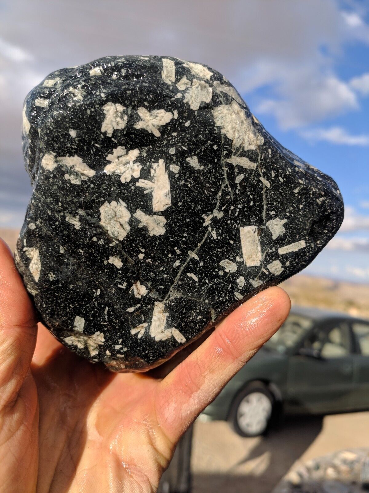3.9 lb huge  Chinese Writing Stone Rough-Feldspar Porphyry-California