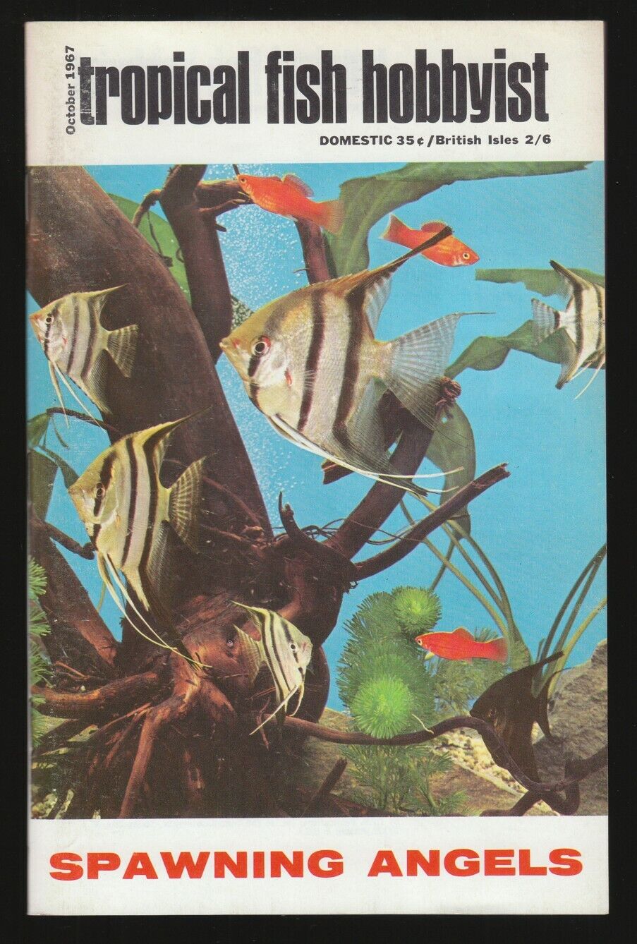 [75948] TROPICAL FISH HOBBYIST MAGAZINE OCTOBER 1967  VOL. 16, No. 2