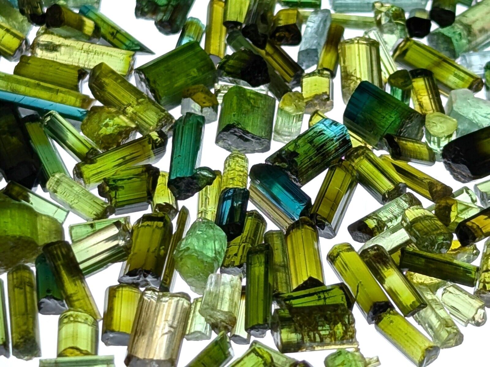 Tourmaline Crystals Facet Grade 50 Gram Lot mostly green some blue, 250 Carats 