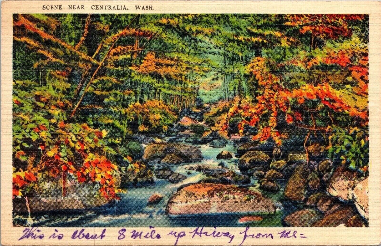 Centralia Washington WA Fall Creek River Woods Scene VTG Postcard Linen WB UNP