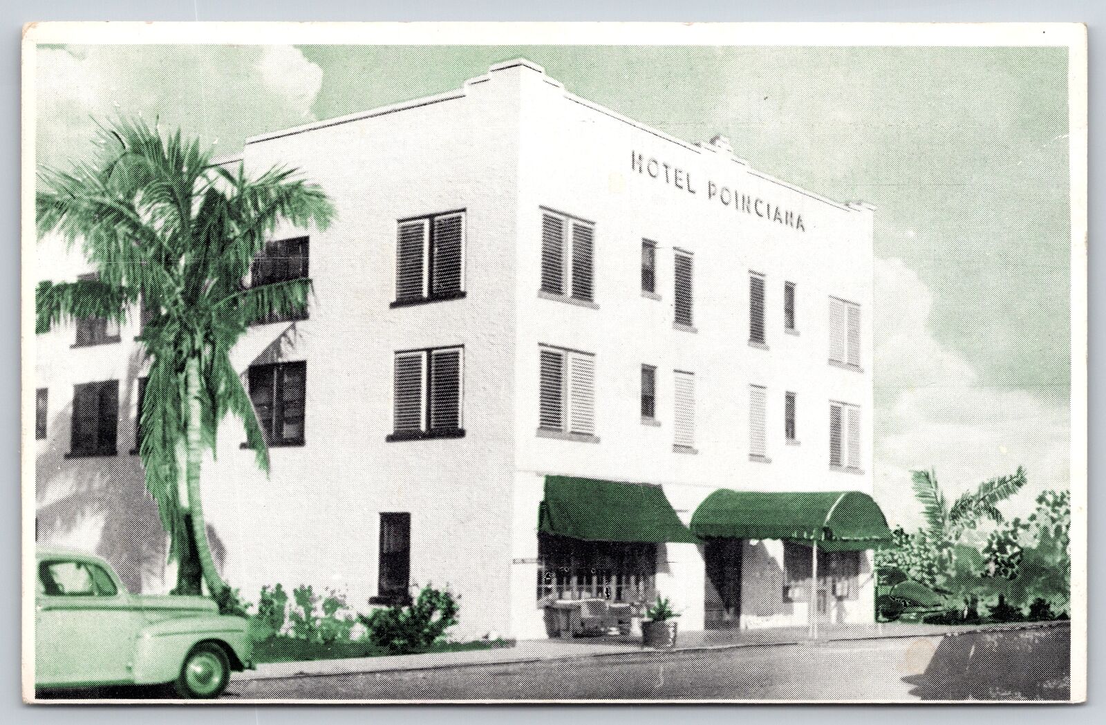 Dania Florida~Hotel Poinciana~Palm & Car in Front~1950s Postcard