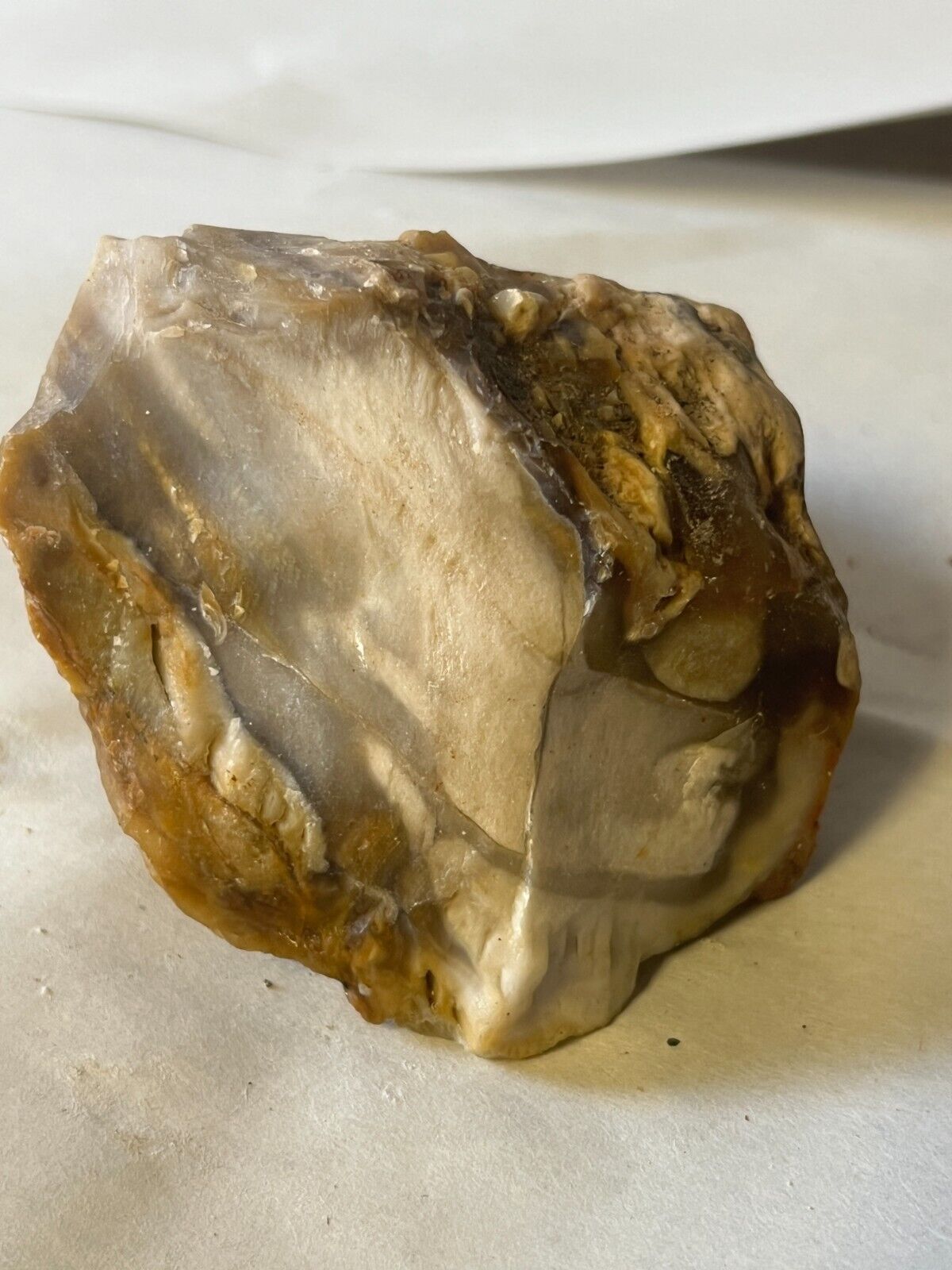 petrified wood 9oz rough agatized opalized special chalcedony agate collection