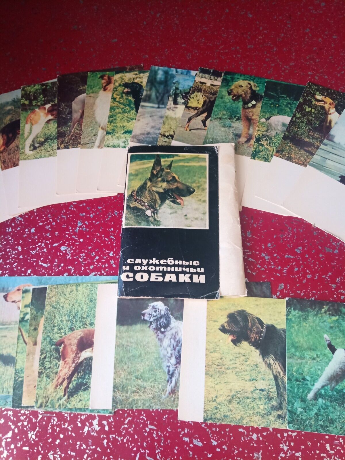vintage photo  postcards depicting dog breeds of the USSR. Set of 25