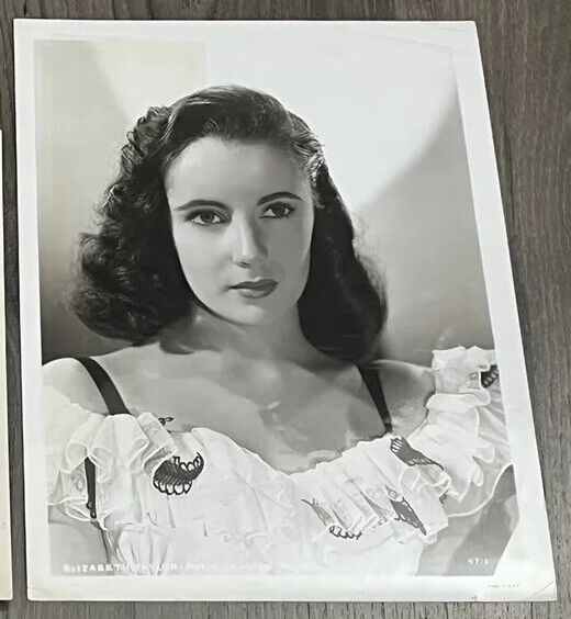 Elizabeth Taylor Original Studio Portrait Photo 1947 18 Years Old Vtg