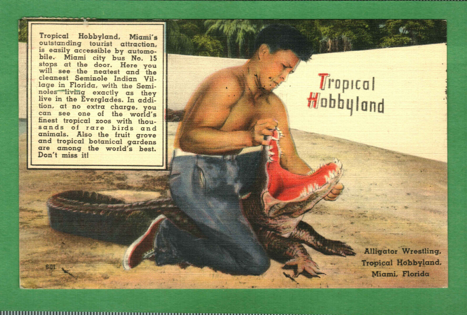 Postcard Tropical Hobbyland Miami Florida Fl Posted 1950