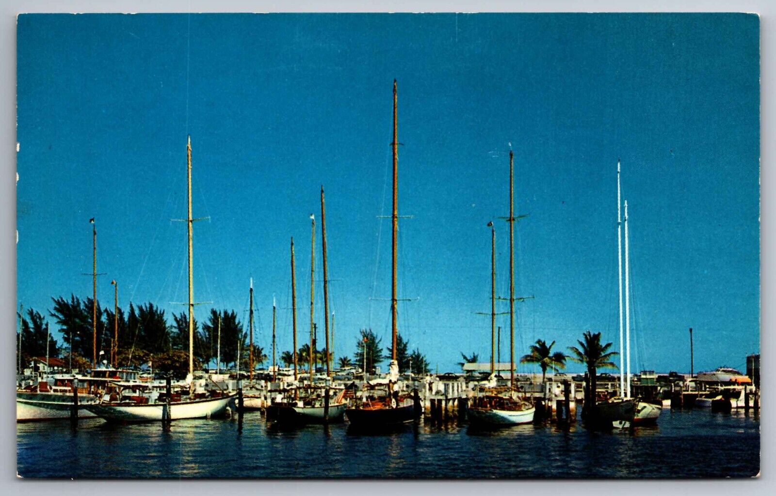 Postcard  Bahia-Mar Yacht Basin Fort Lauderdale Florida      G 10