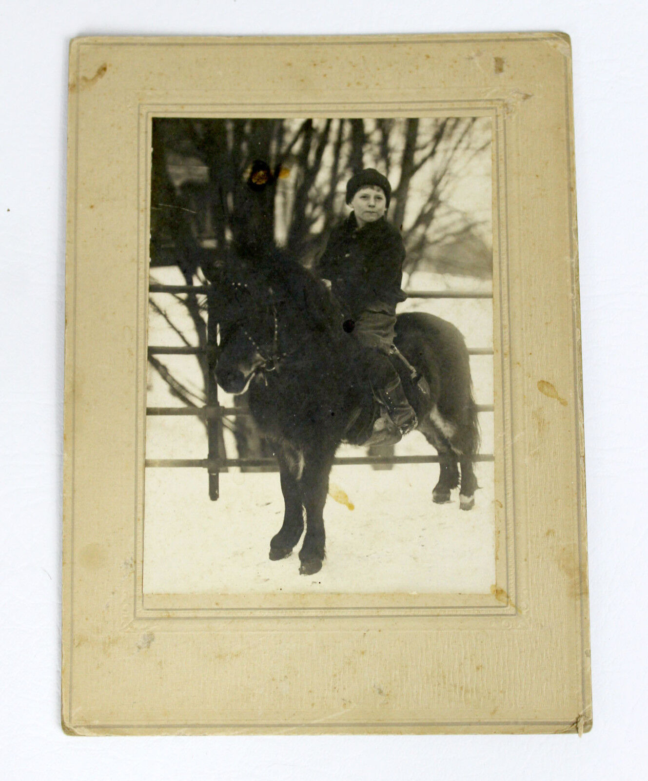 Antique Victorian Early 1900s Photograph of Young Boy on Pony 8x6\