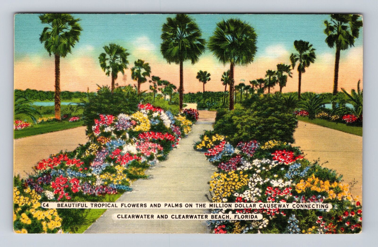 Clearwater Beach FL-Florida, Tropical Flowers & Palms, Antique Vintage Postcard