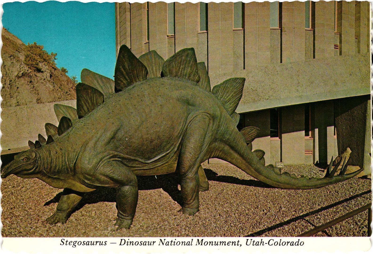 Vintage Postcard 4x6- Stegosaurus, Dinosaur National Monument, U UnPost 1960-80s