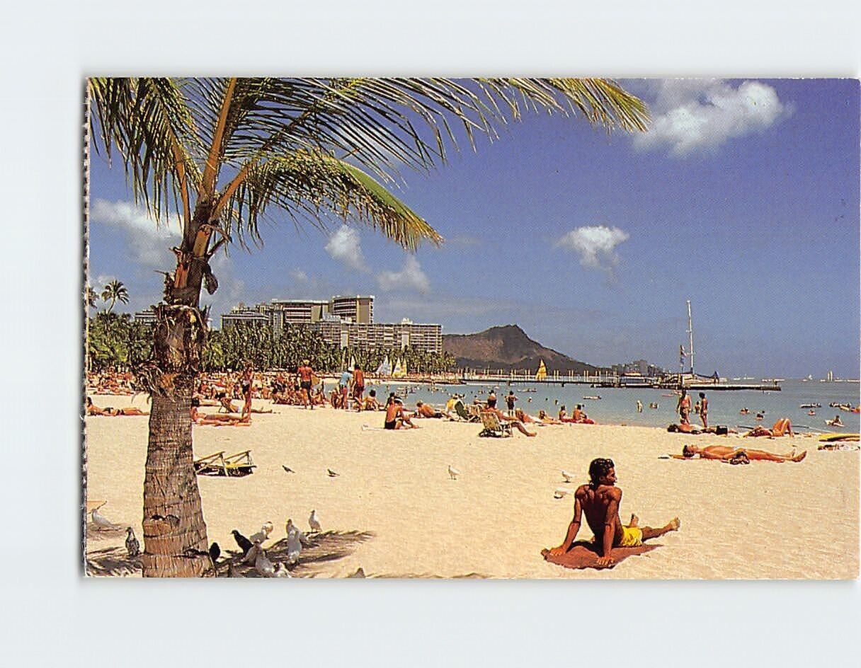 Postcard Waikiki Beach Hawaii USA