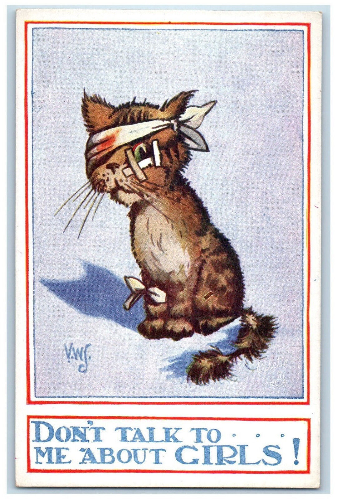 Postcard Dont Talk To Me Message Cat Injured Bandage c1910 Oilette Tuck Cat