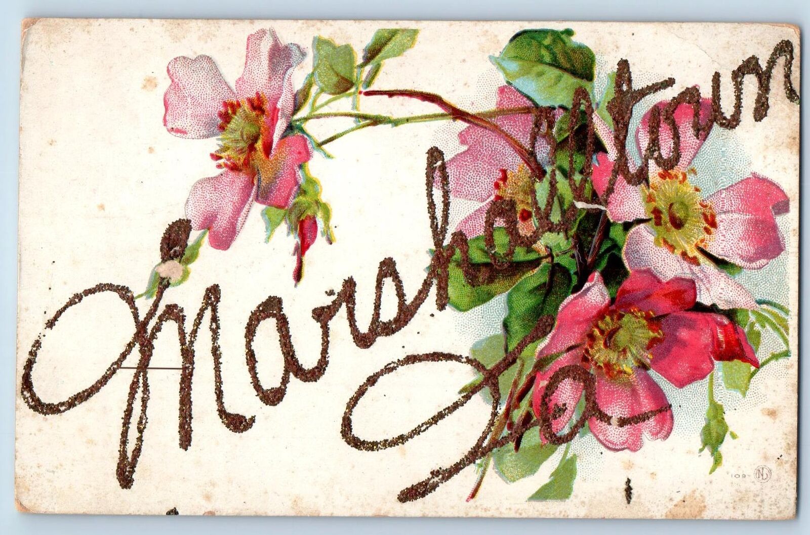 Marshalltown Iowa IA Postcard Embossed Flowers And Leaves Scene c1910\'s Antique