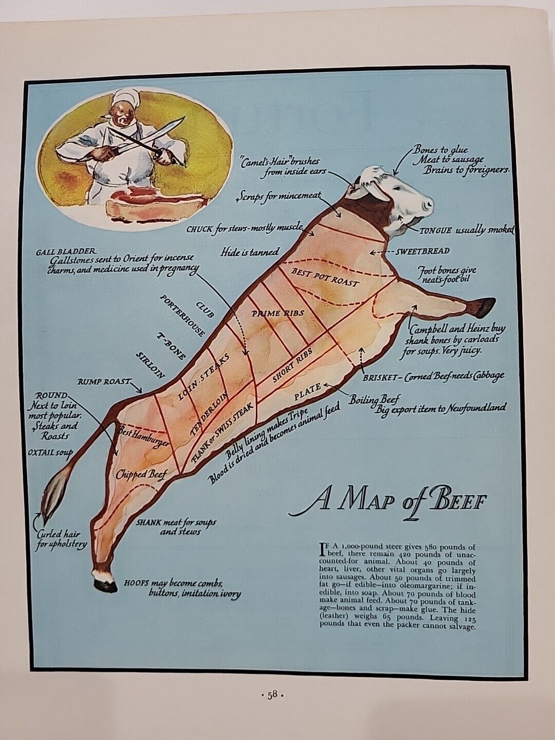 1934 A Map Of Beef Fortune Magazine Print Color Cow Steak Bovine Chef