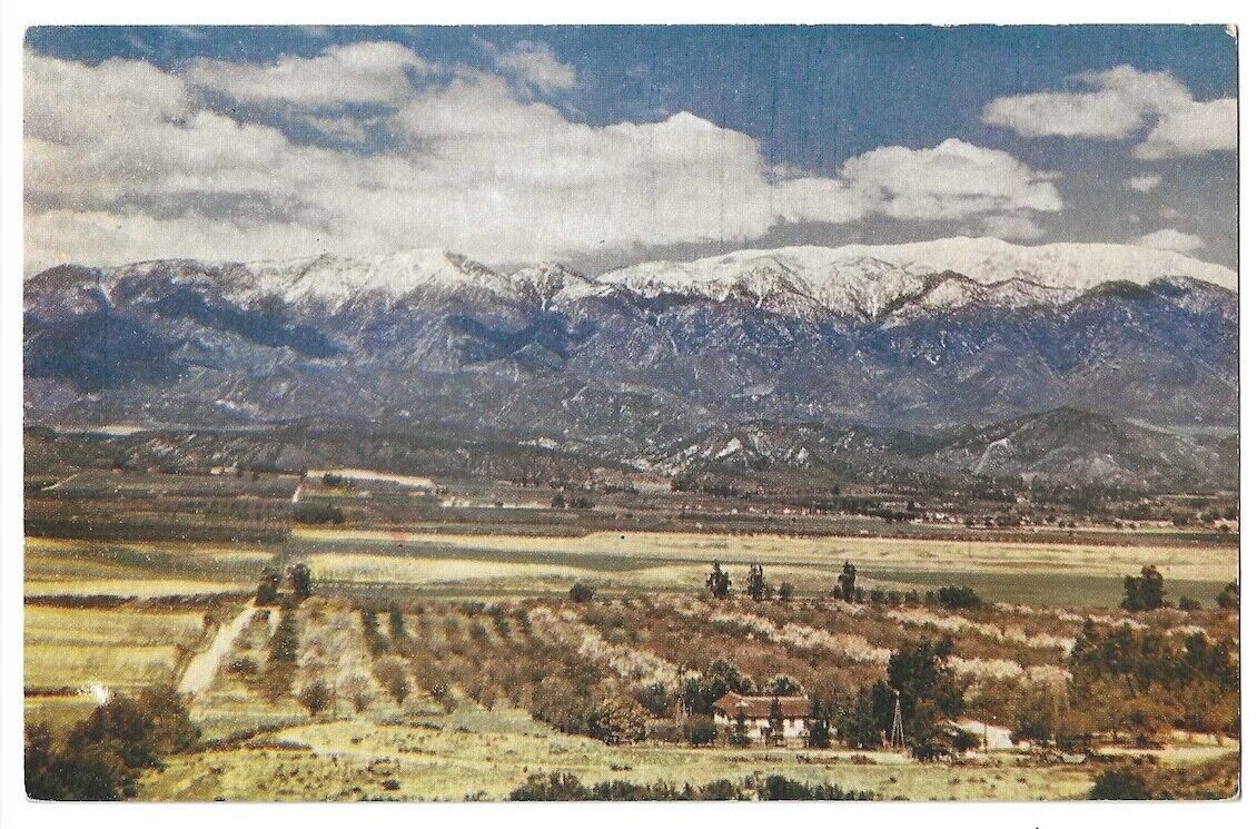 Mt. San Gorgonio California c1950's snow capped mountain, desert view