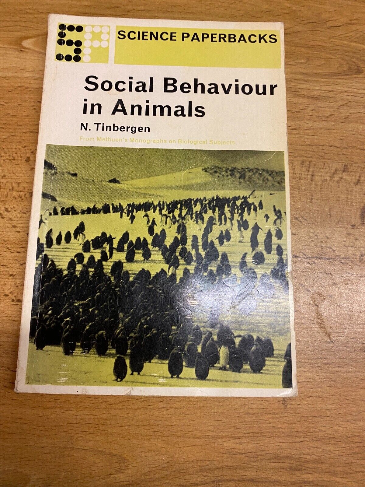 Social Behavior in Animals by Nikolaas Tinbergen 1953 Nobel Prize Scientist PB