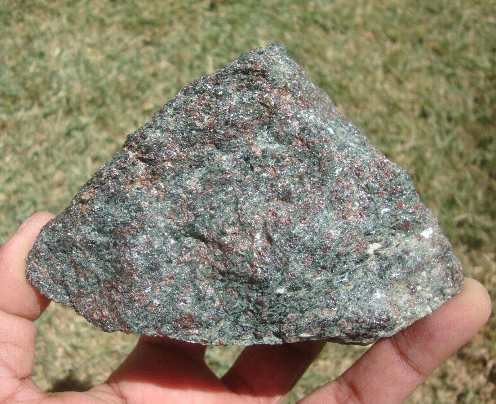 Awesome classic example of Eclogite, Weissenstein, Bavaria, Germany (402.1 g)
