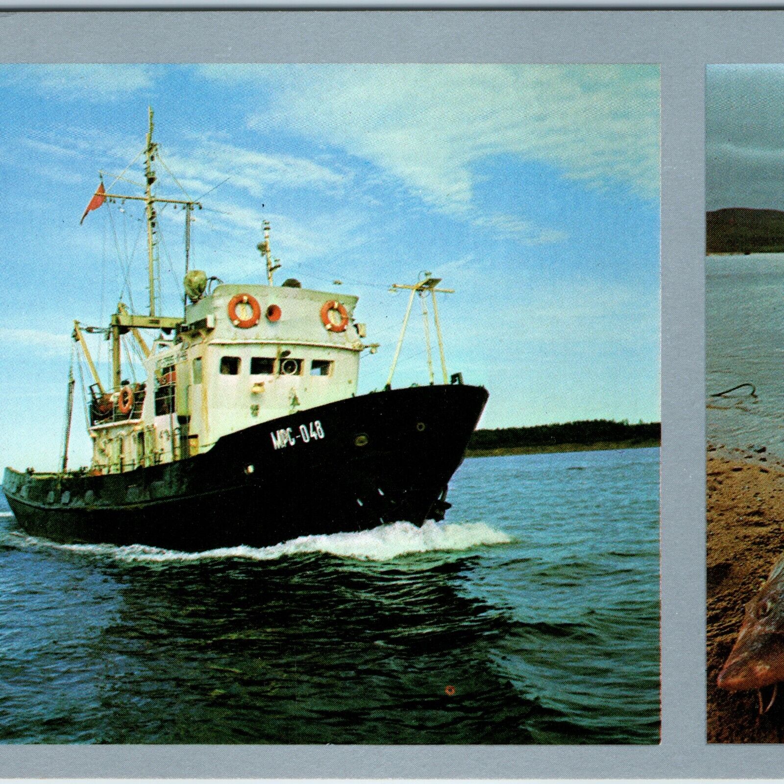1975 Khabarovsk, Soviet Union Fishing Boat Flotilla Postcard Ship USSR Russia 3R