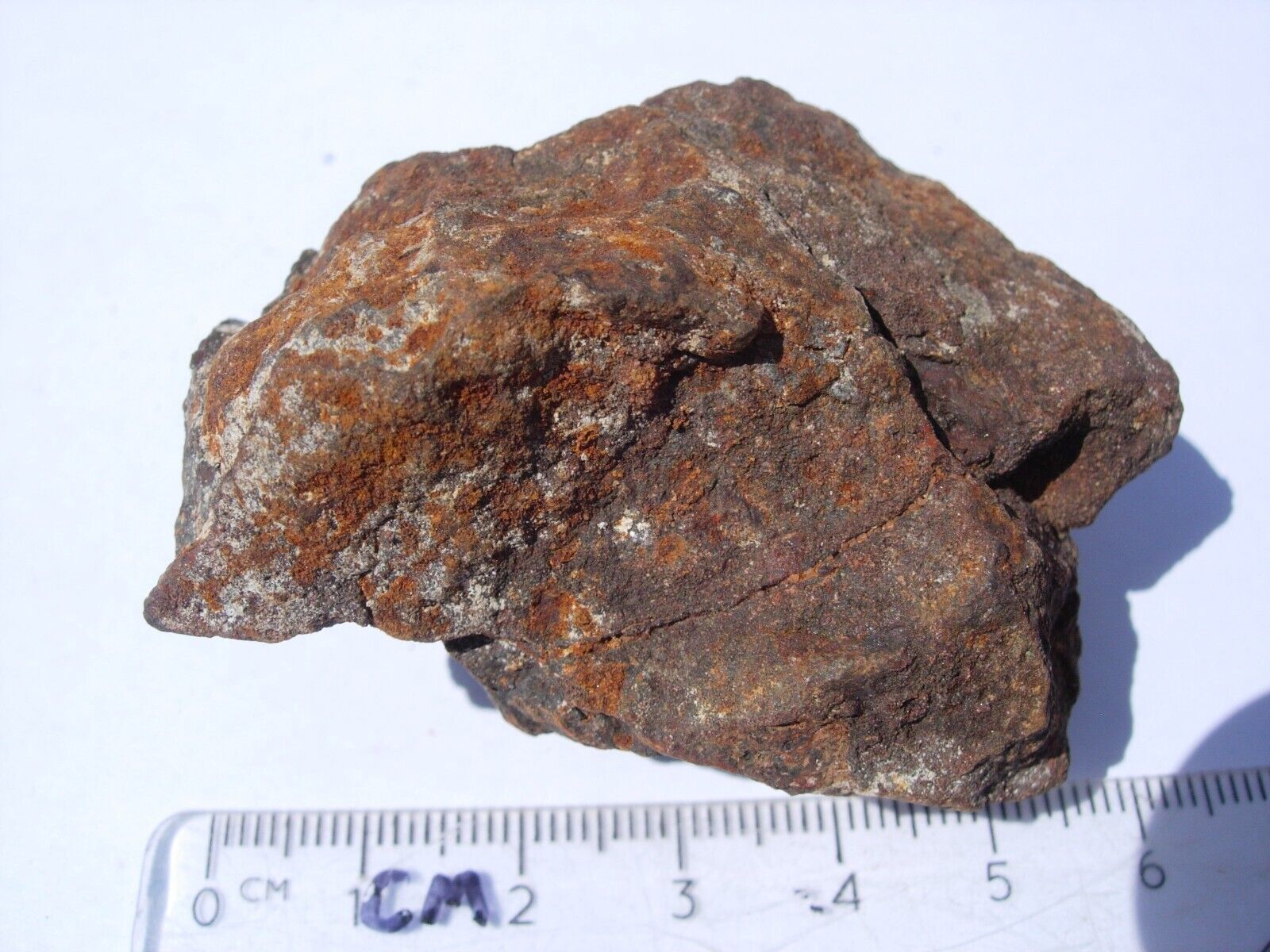 96.6 grams NWA xxx unclassified as found individual stoney Meteorite with a COA