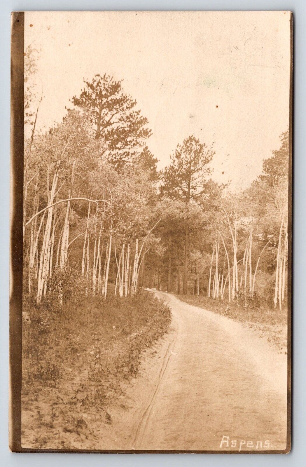 Postcard Dirt Road Apens Trees, CO, RPPC (East of Estes Park) Sender Took Photo