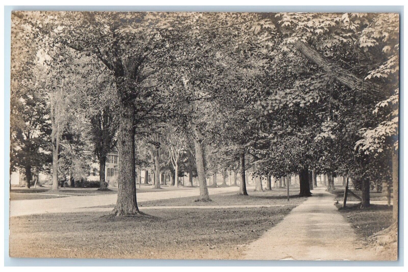 c1910s Houses Dirt Road And Trees Sheffield Massachusetts MA RPPC Photo Postcard