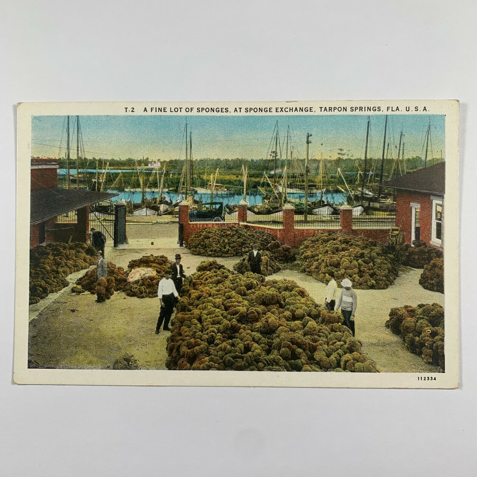 Postcard Florida Tarpon Springs FL Sponge Exchange 1930s White Border Unposted