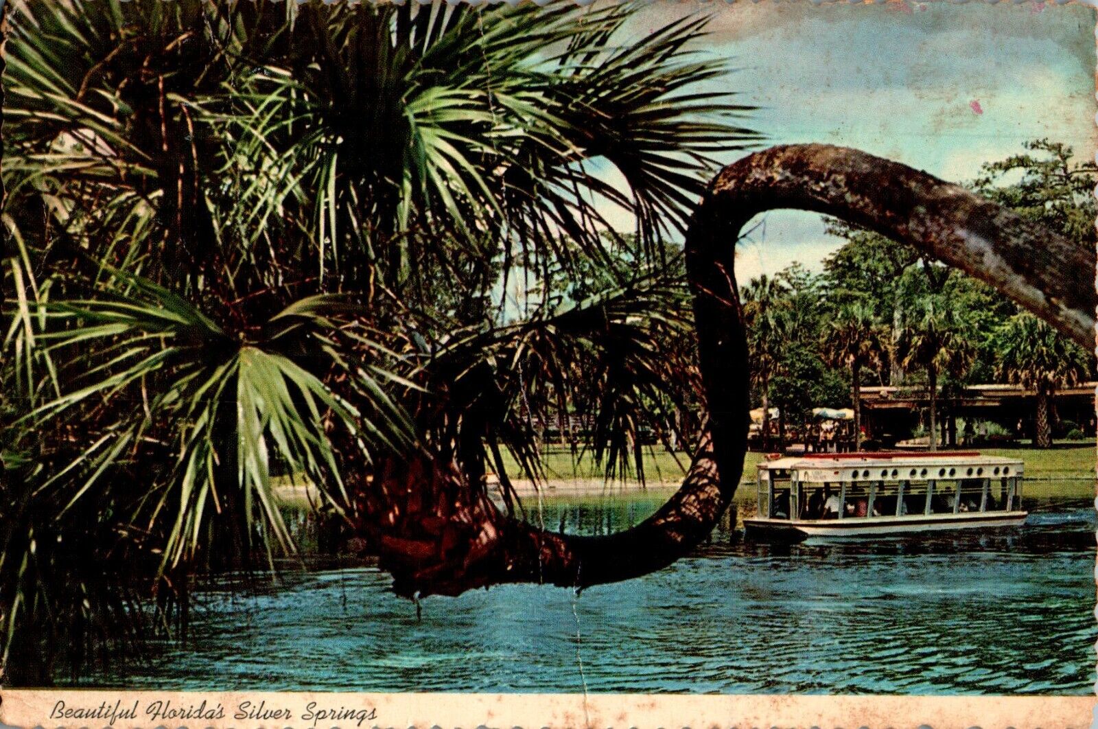 Glass Bottom Boats, Silver Springs, Florida FL 1976 chrome Postcard
