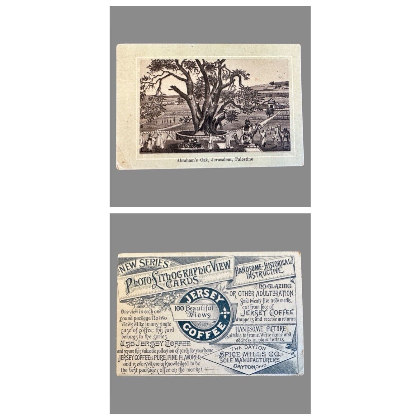 1890’s Jersey Coffee Abraham’s Oak Jerusalem Palestine Trade Card