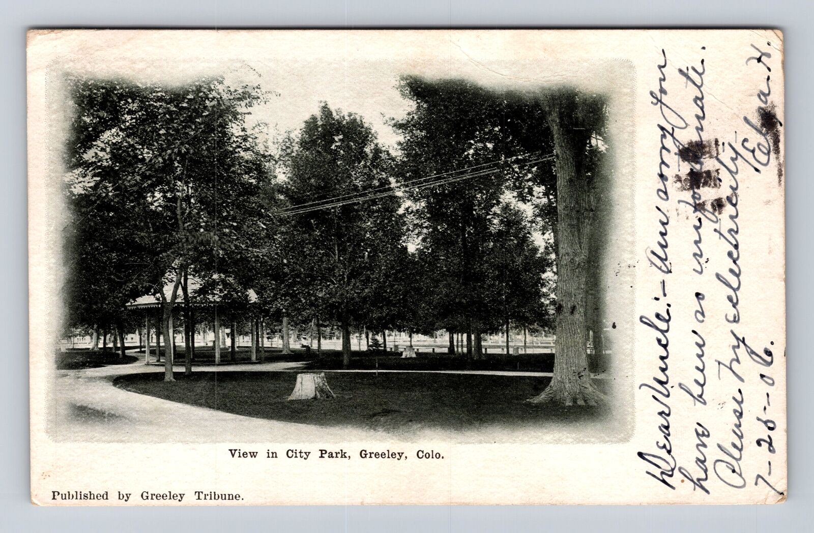Greeley CO-Colorado, Scenic View in City Park, Antique Vintage Souvenir Postcard