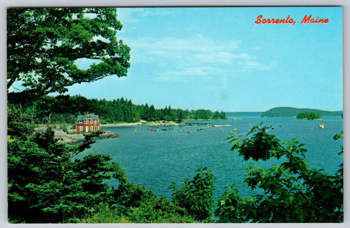 Picturesque Scenic Harbor View Sorrento ME Maine Postcard VTG