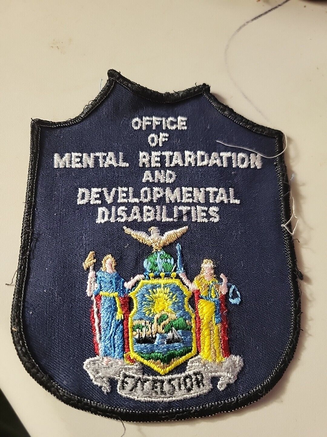 Vintage New York State office of mental retaddition and development disabilities