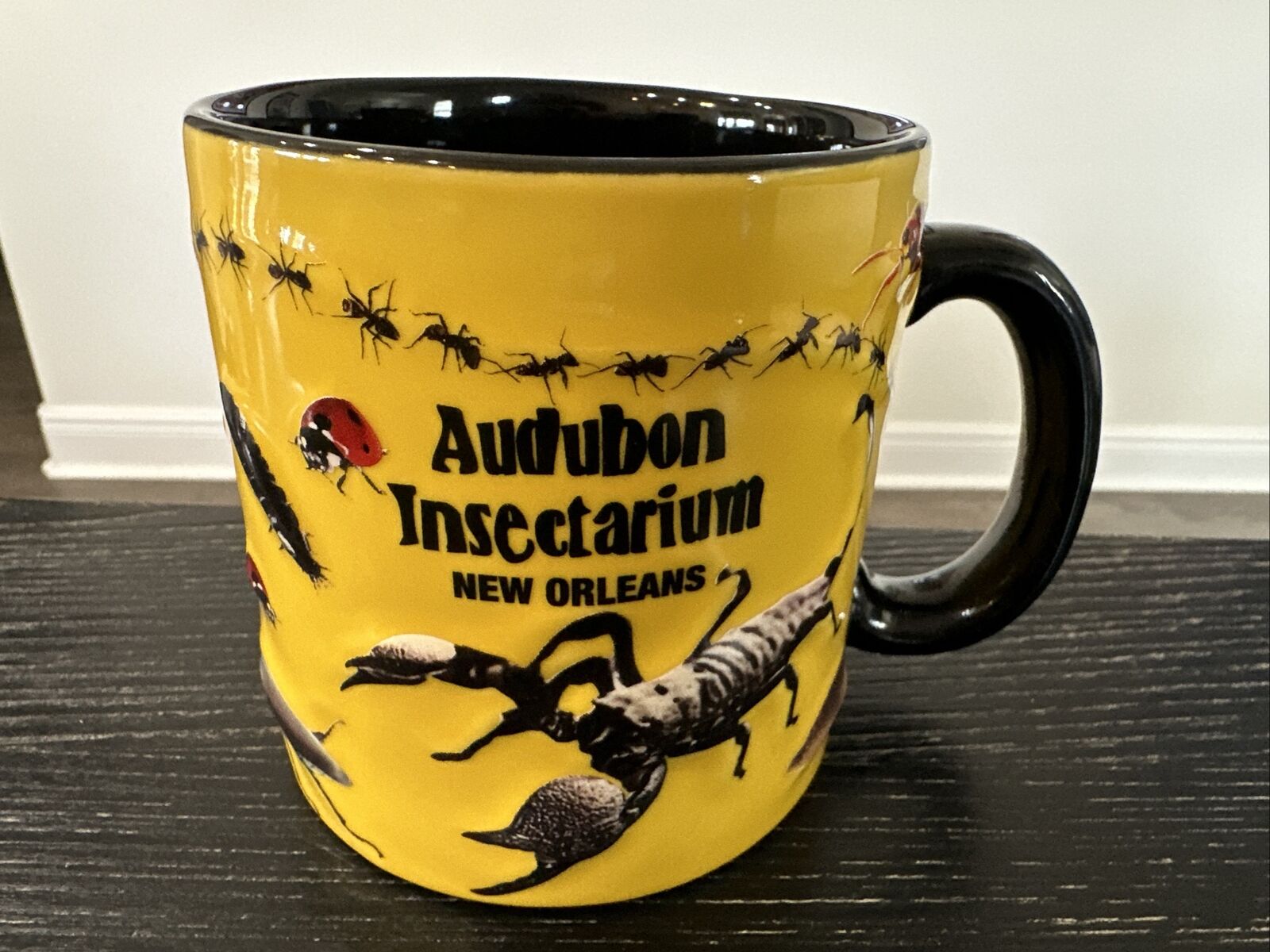 Audubon Insectarium New Orleans, 16 oz Mug, Bugs & Insects, Unused, Pristine