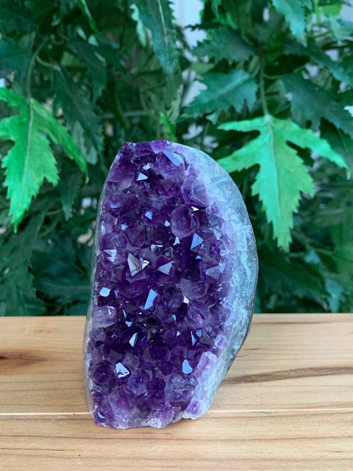 Finely Polished Uruguay Deep Purple Amethyst Cluster Crystal Geode, Pick a Size